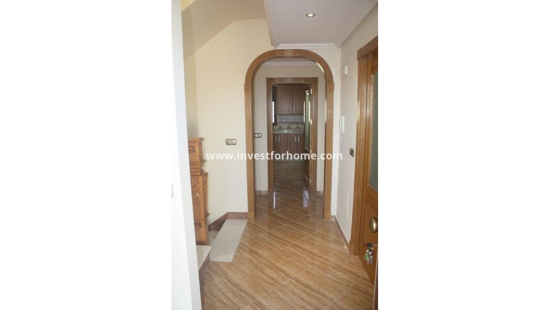 Nueva construcción - Chalet - Torrevieja - Centro