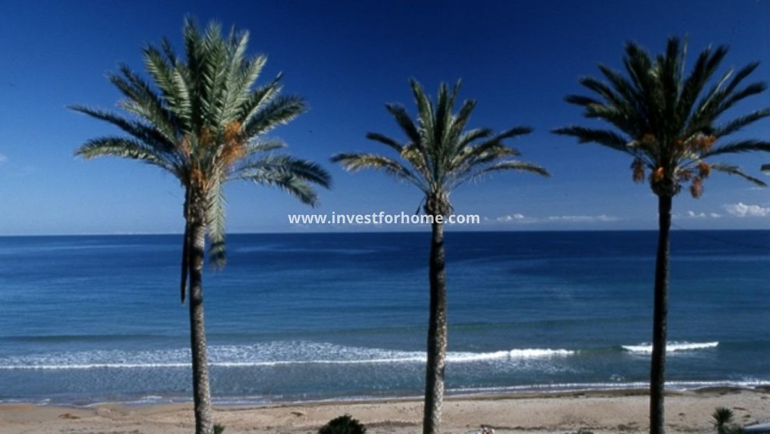 Nybyggnad - Bungalow - Pilar de la Horadada - Parque Ramon eugenio Escudero