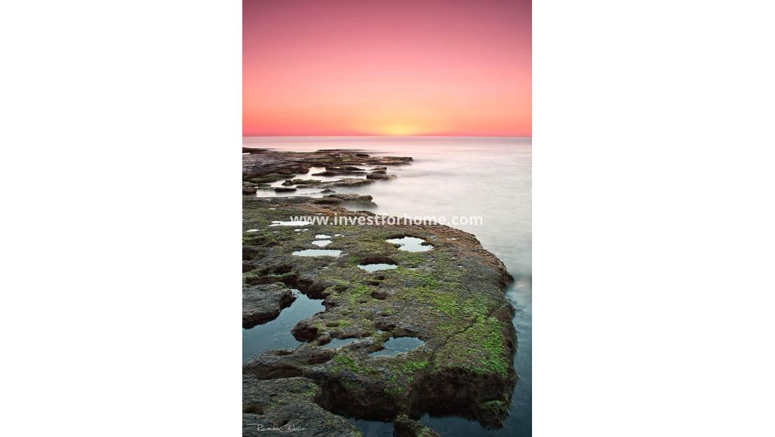 Nybyggnad - Bungalow - Torrevieja - Altos del Sol