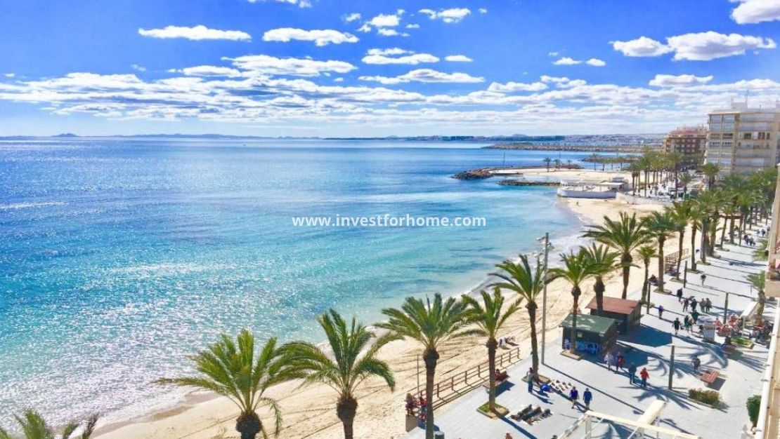 Nybyggnad - Bungalow - Torrevieja - Lago Jardín II