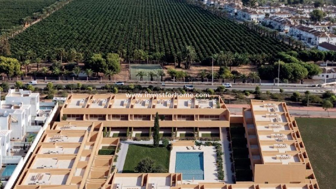 Nybyggnad - Bungalow - Torrevieja - Los Balcones