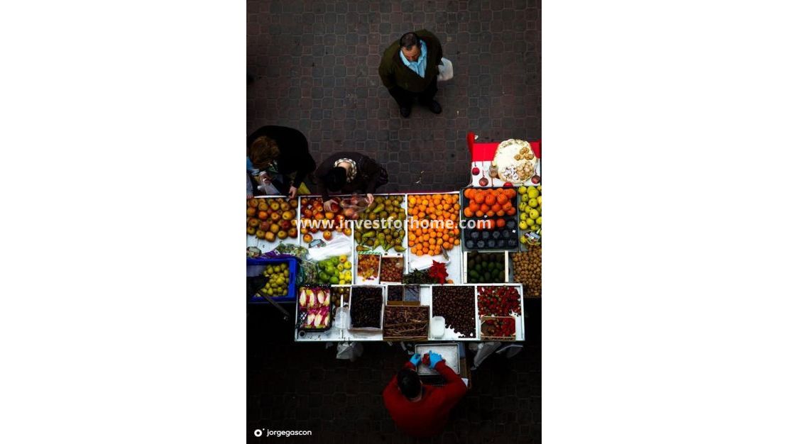 Nybyggnad - Hus - Dolores - Sector 2