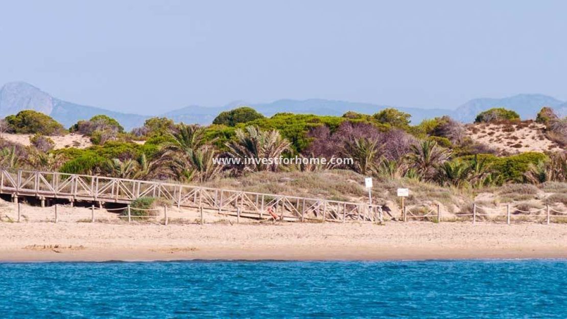 Nybyggnad - Lägenhet - Guardamar del Segura - Pueblo