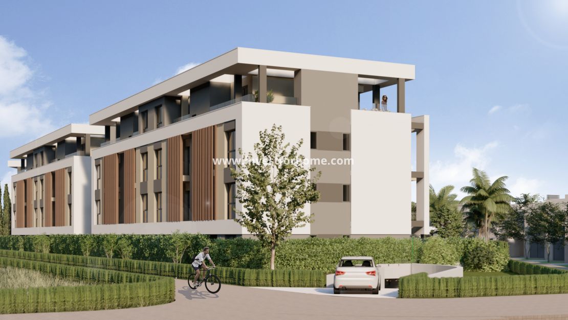 Nybyggnad - Lägenhet - Santa Rosalia - Santa Rosalía