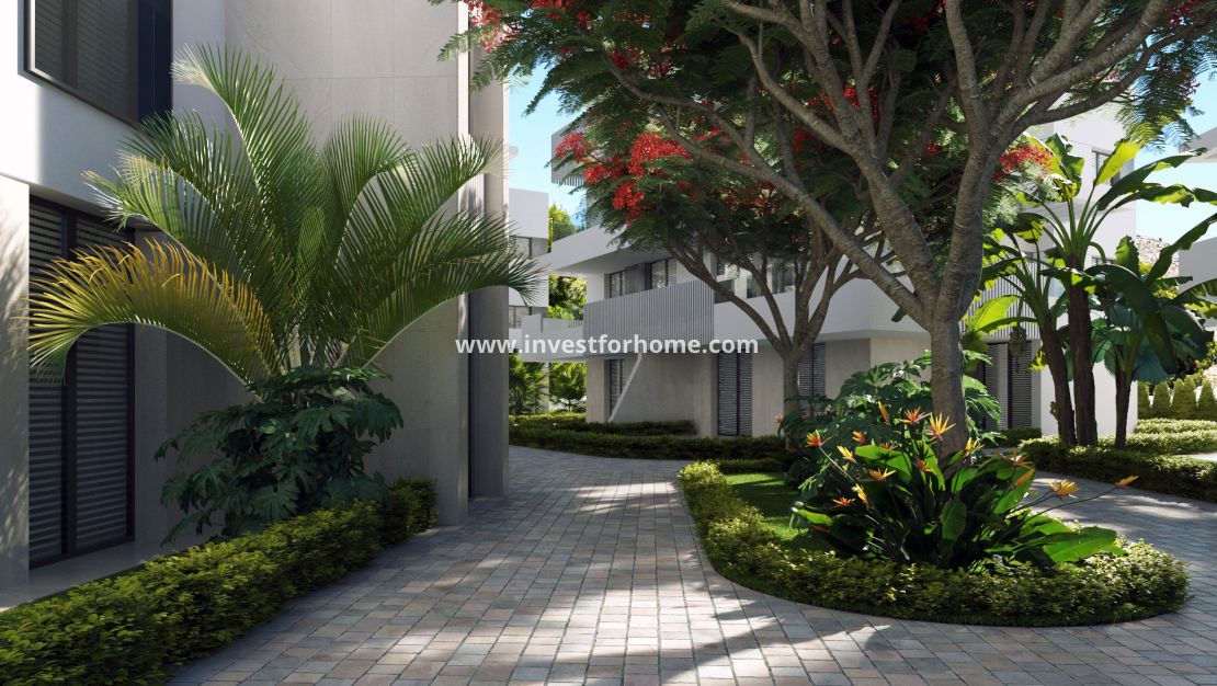 Nybyggnad - Lägenhet - Santa Rosalia - Santa Rosalía