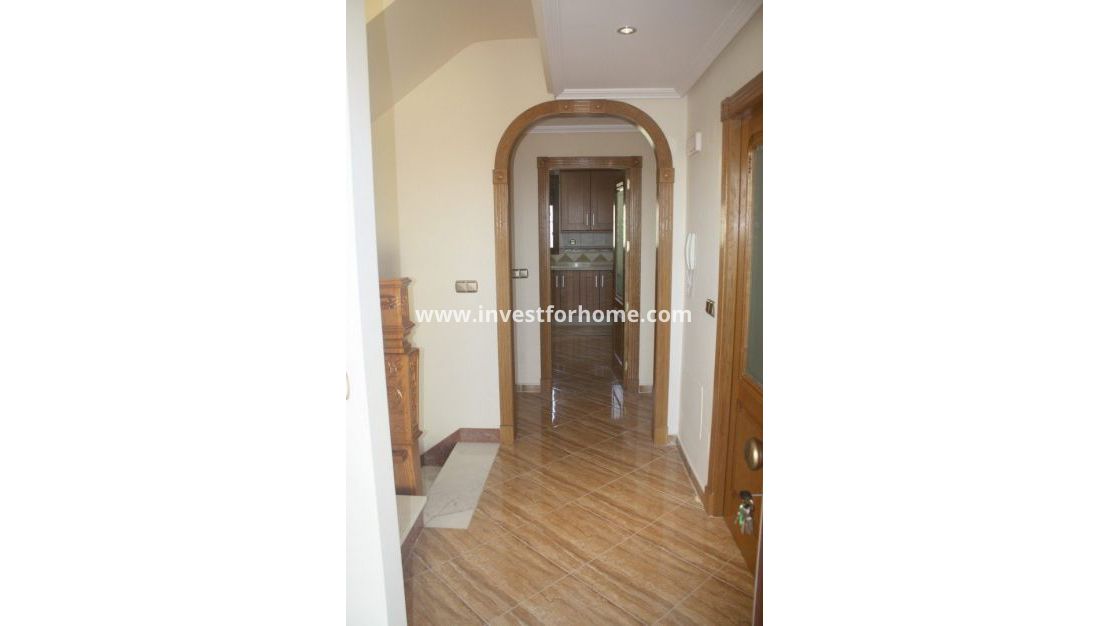 Nybyggnad - Villa - Torrevieja - Los Altos