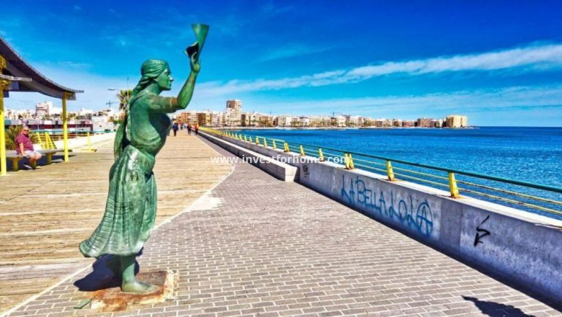 Nybyggnad - Villa - Torrevieja - Nueva Torrevieja - Aguas Nuevas