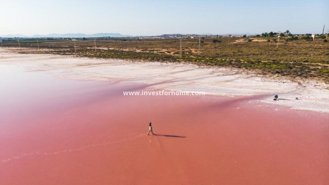 Nybyggnad - Villa - Torrevieja - Nueva Torrevieja - Aguas Nuevas