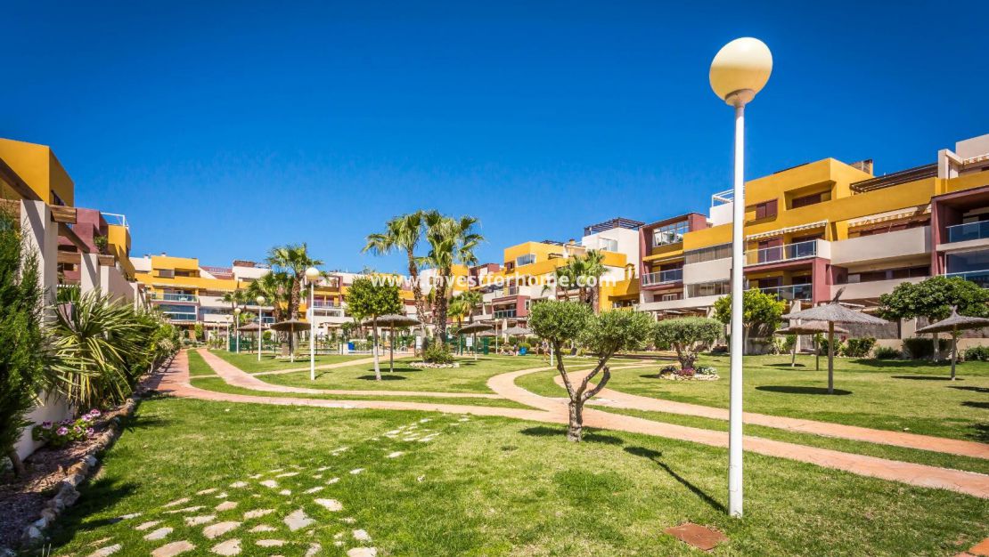 Orihuela Costa Costablanca Lidl alicante