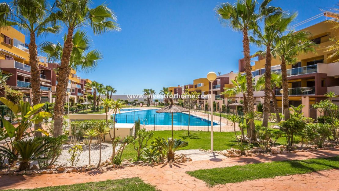 Orihuela Costa Costablanca Lidl alicante