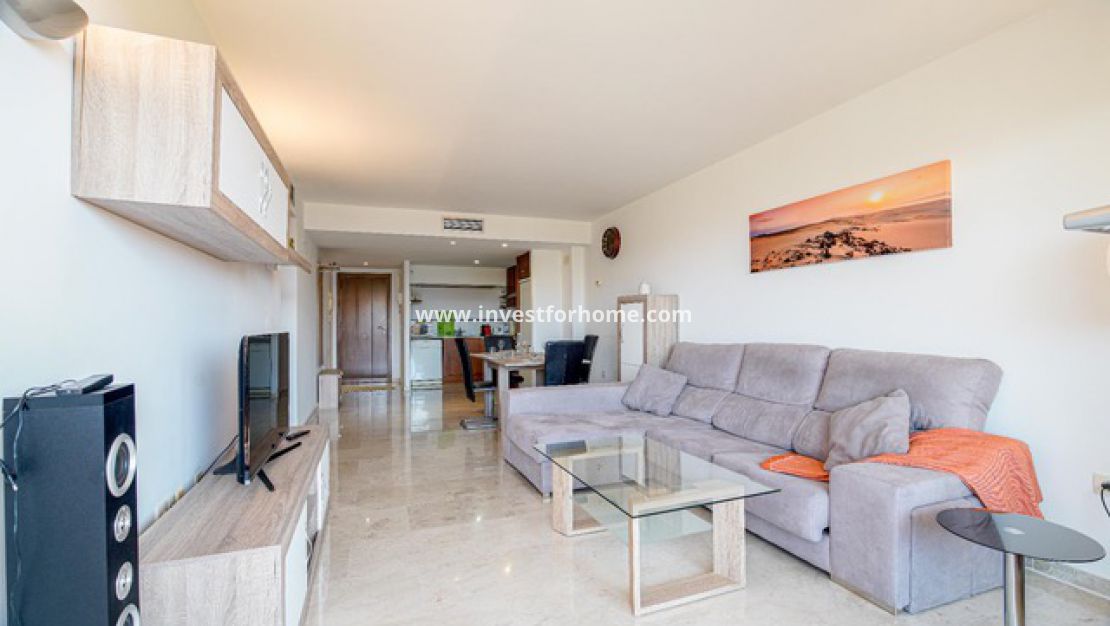 Punta prima, Orihuela costa, Torrevieja, La recoleta, nautilus, Playa Flamenca