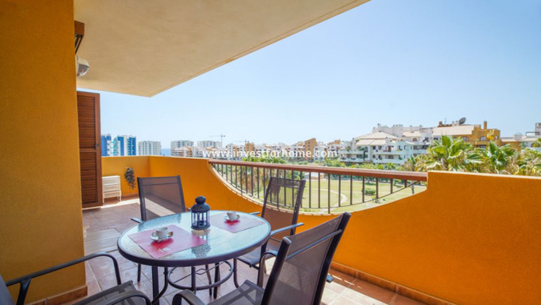 Punta prima, Orihuela costa, Torrevieja, La recoleta, nautilus, Playa Flamenca