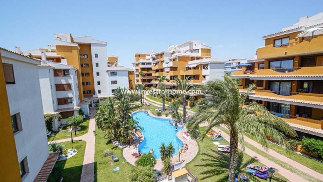 Punta prima, Orihuela costa, Torrevieja, La recoleta, nautilus, Playa Flamenca