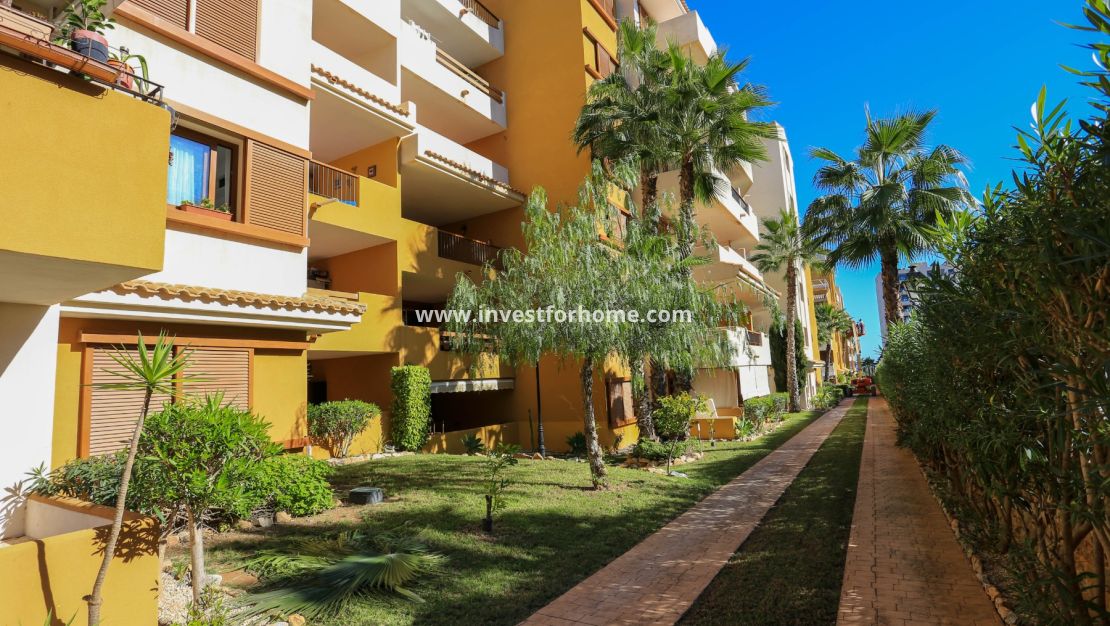 Punta prima, Orihuela costa, Torrevieja, La recoleta, nautilus, Playa Flamenca