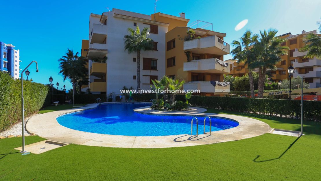 Punta prima, Orihuela costa, Torrevieja, La recoleta, nautilus, Playa Flamenca