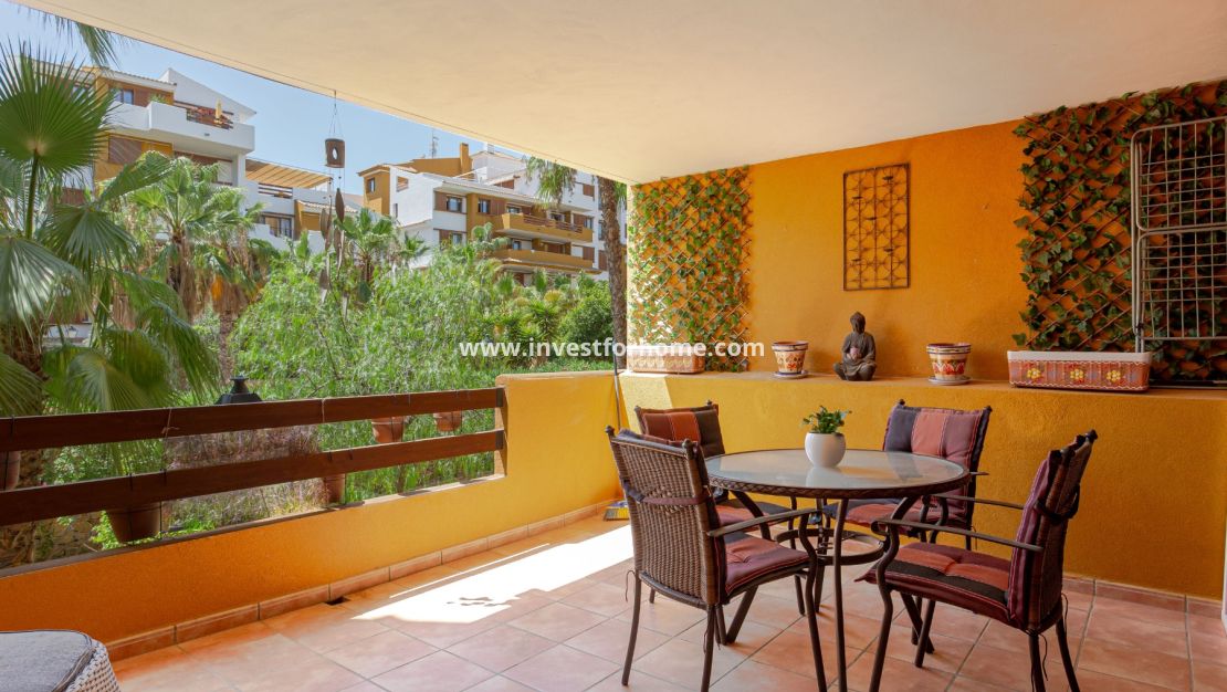 Punta prima, Orihuela costa, Torrevieja, La recoleta, nautilus, Playa Flamenca