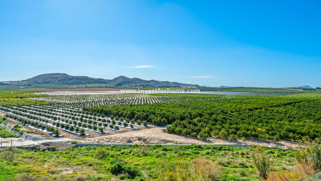 Reventa - Apartamento - Algorfa - Inland