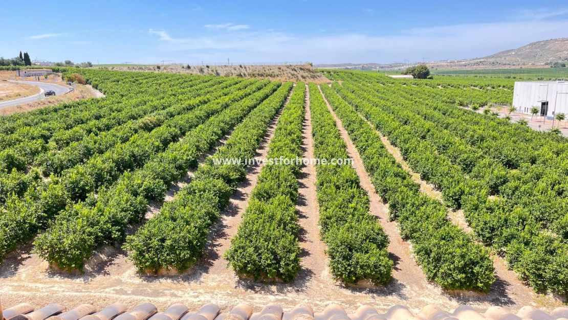 Reventa - Apartamento - Algorfa - Inland