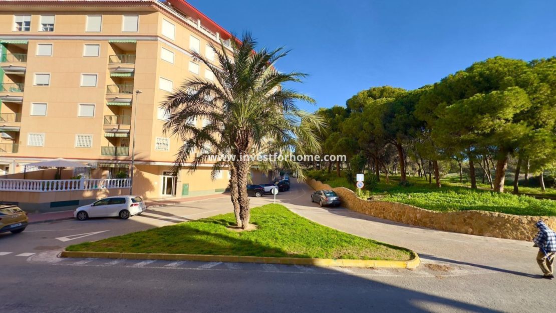 Reventa - Apartamento - Guardamar del Segura - Centro