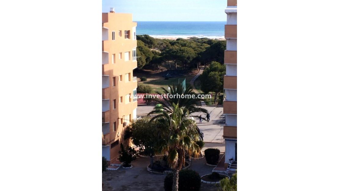 Reventa - Apartamento - Guardamar del Segura - Pinomar