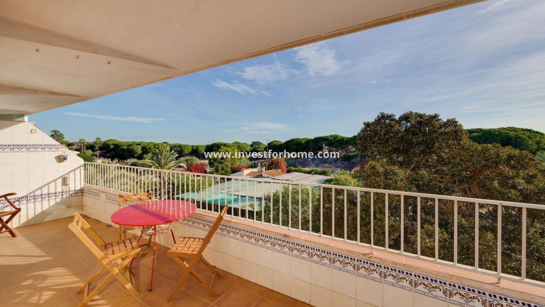 Reventa - Apartamento - Guardamar del Segura - Pinomar