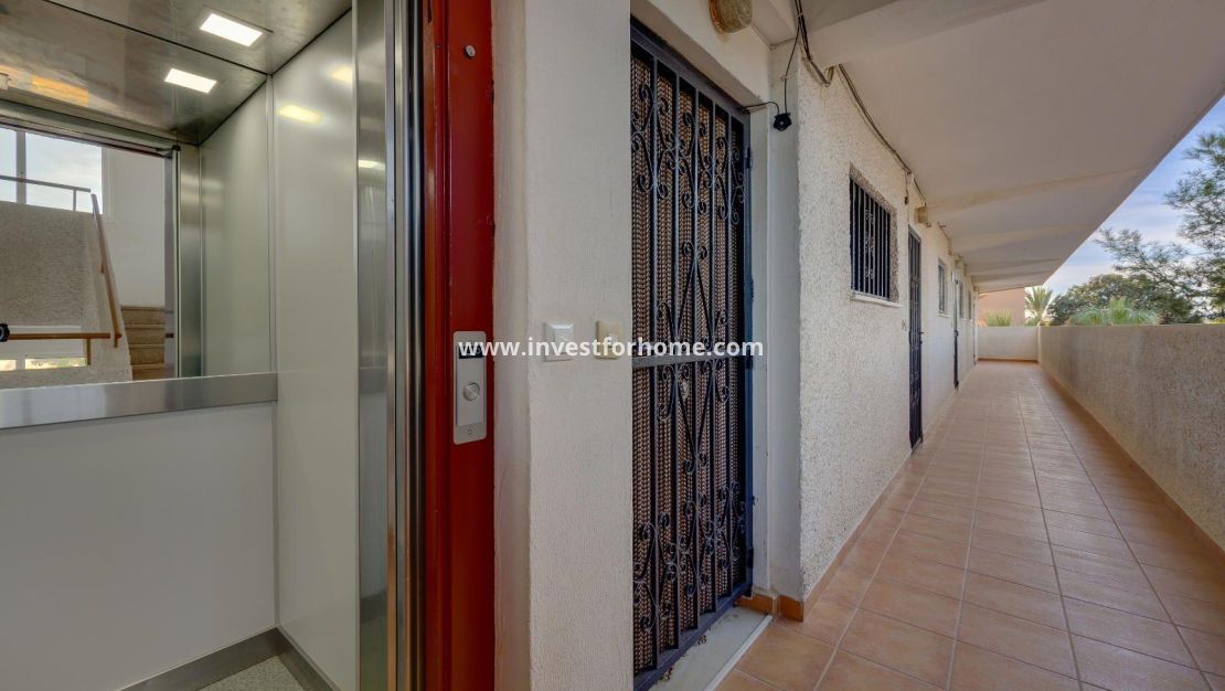 Reventa - Apartamento - Guardamar del Segura - Pinomar