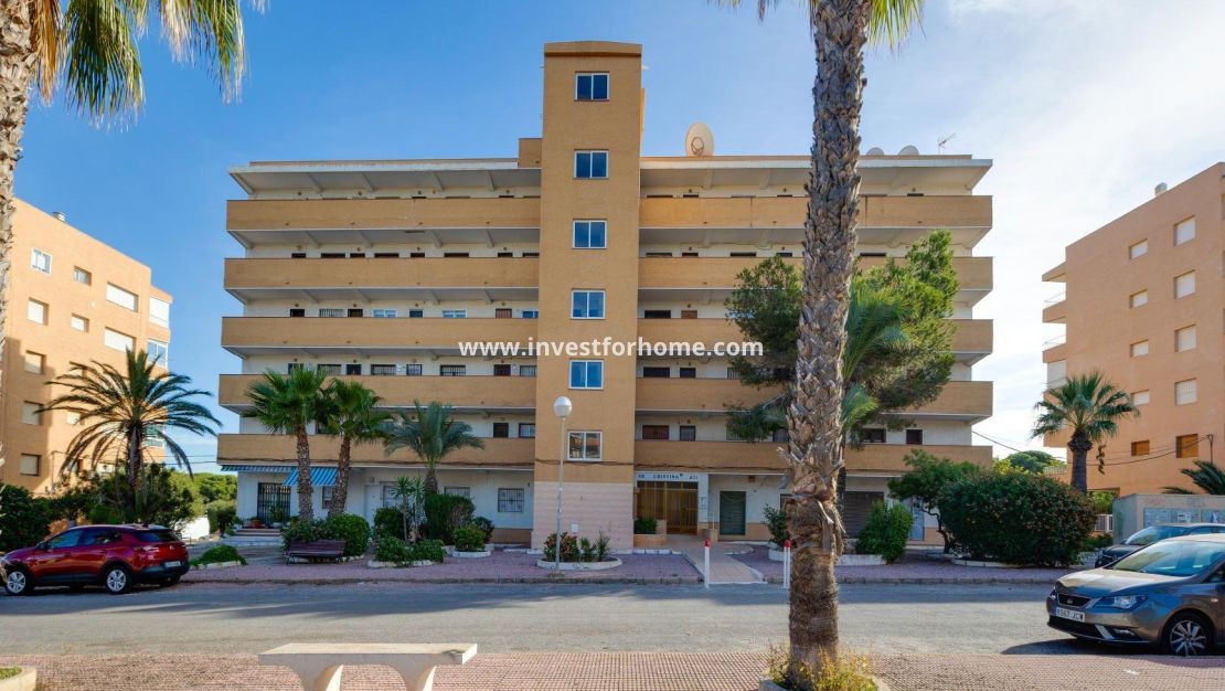 Reventa - Apartamento - Guardamar del Segura - Pinomar