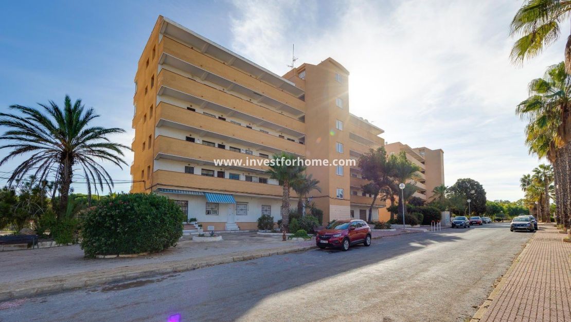 Reventa - Apartamento - Guardamar del Segura - Pinomar