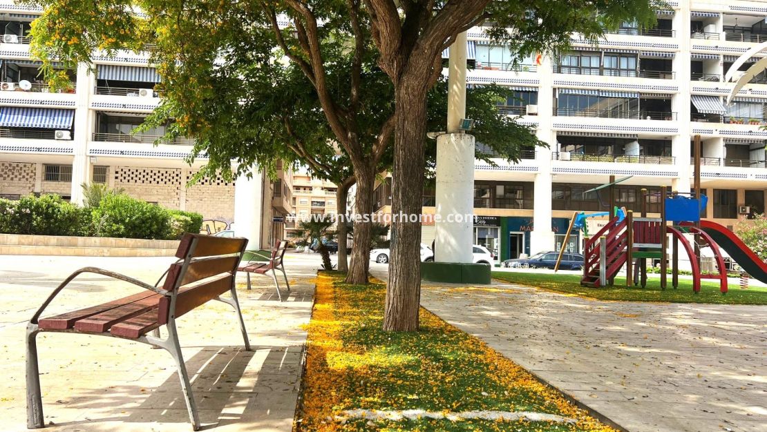 Reventa - Apartamento - Guardamar del Segura - Pueblo