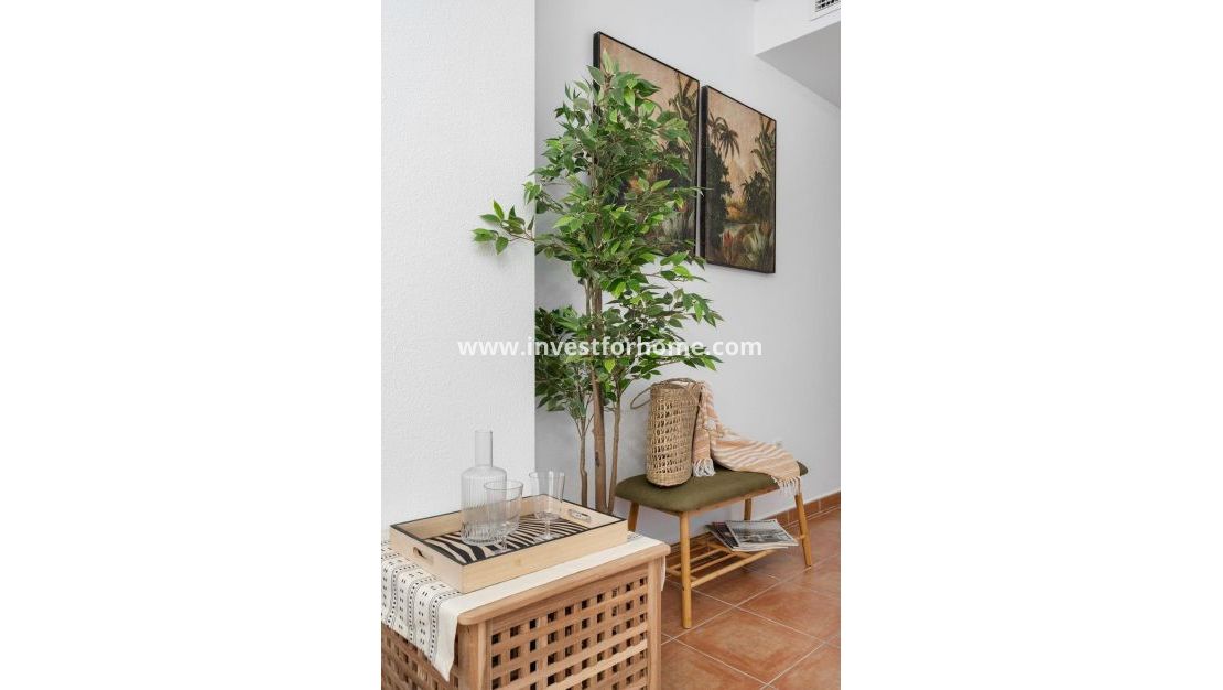 Reventa - Apartamento - Guardamar del Segura - Pueblo