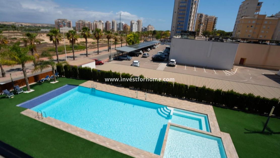 Reventa - Apartamento - Guardamar del Segura - Puerto Deportivo