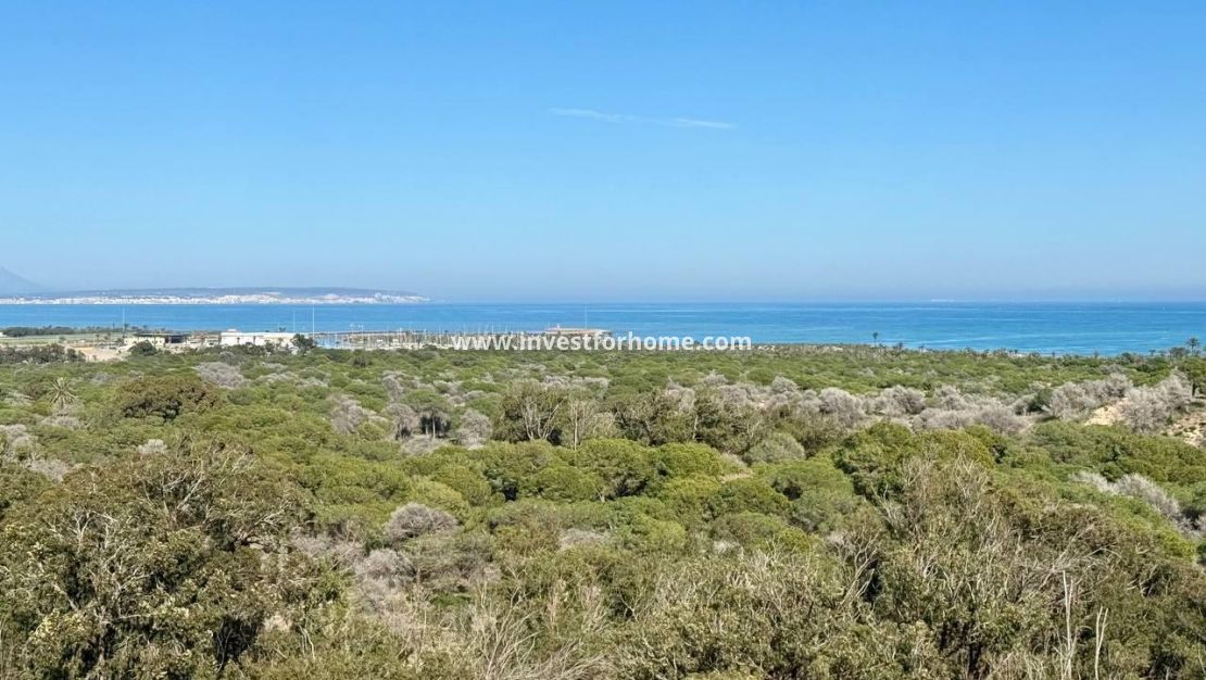 Reventa - Apartamento - Guardamar del Segura - Puerto