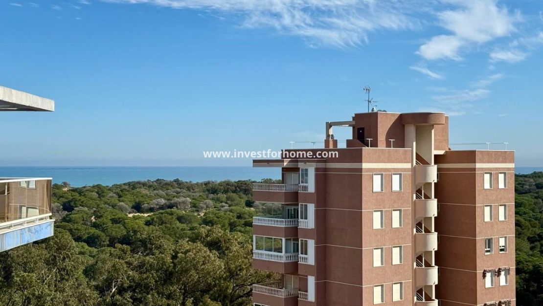 Reventa - Apartamento - Guardamar del Segura - Puerto