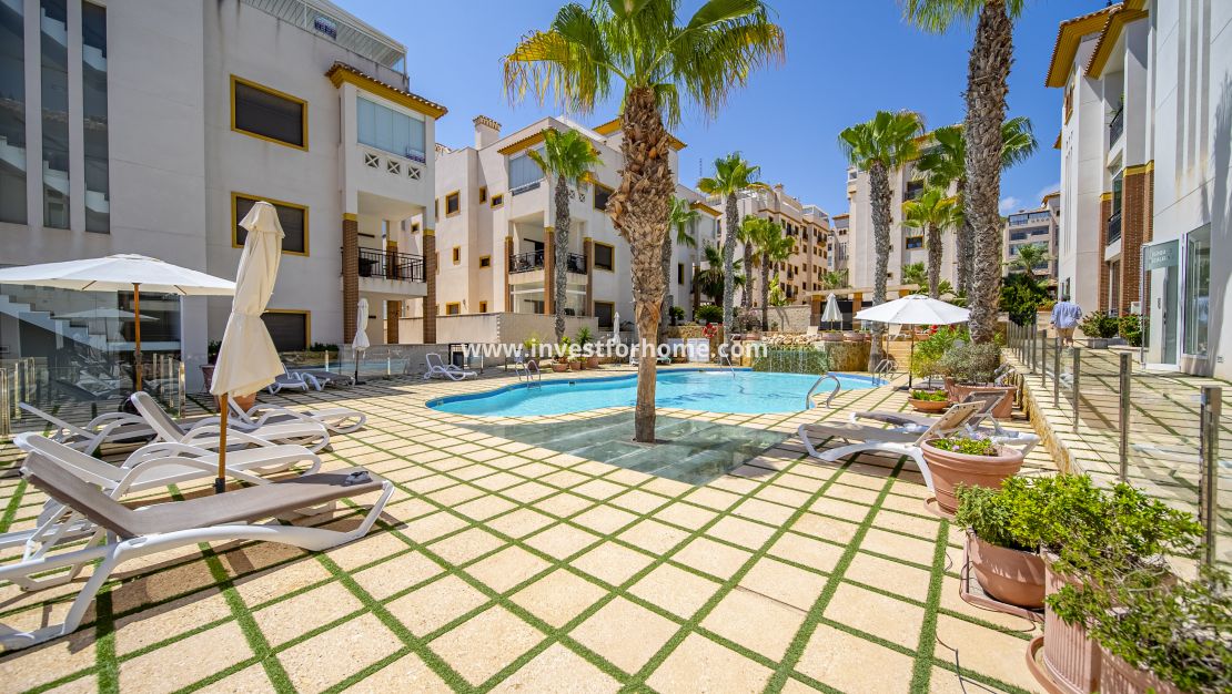 Reventa - Apartamento - Guardamar del Segura