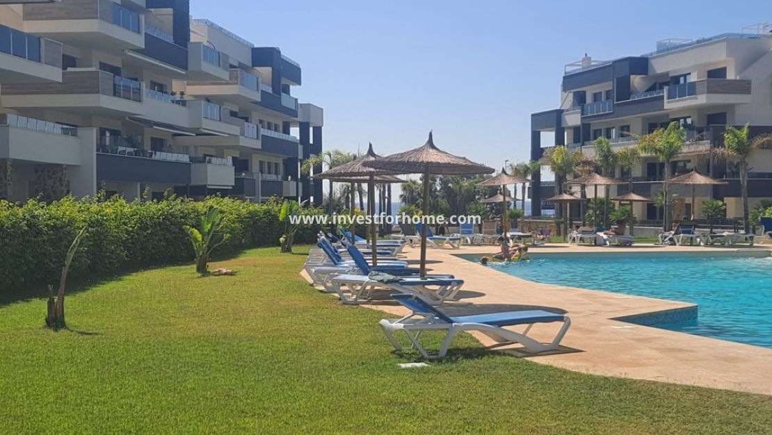 Reventa - Apartamento - Orihuela Costa - Costa Blanca