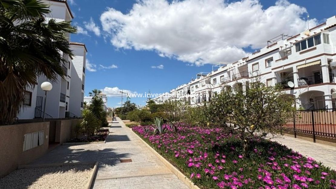 Reventa - Apartamento - Orihuela Costa - Costa Blanca