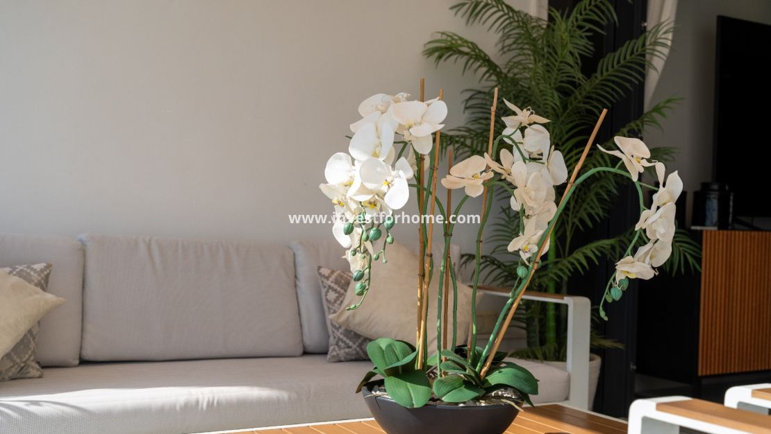 Reventa - Apartamento - Orihuela Costa - Costa Blanca