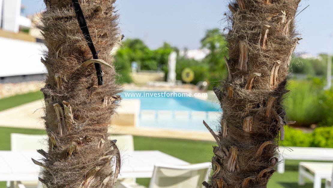 Reventa - Apartamento - Orihuela Costa - Costa Blanca