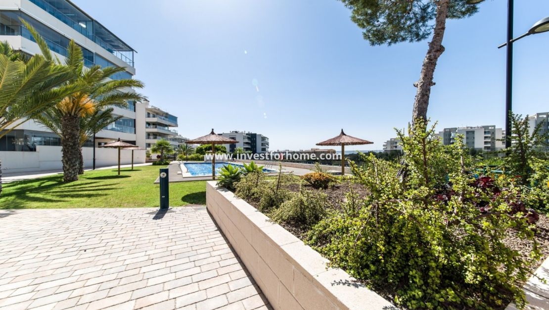 Reventa - Apartamento - Orihuela Costa - Costa Blanca