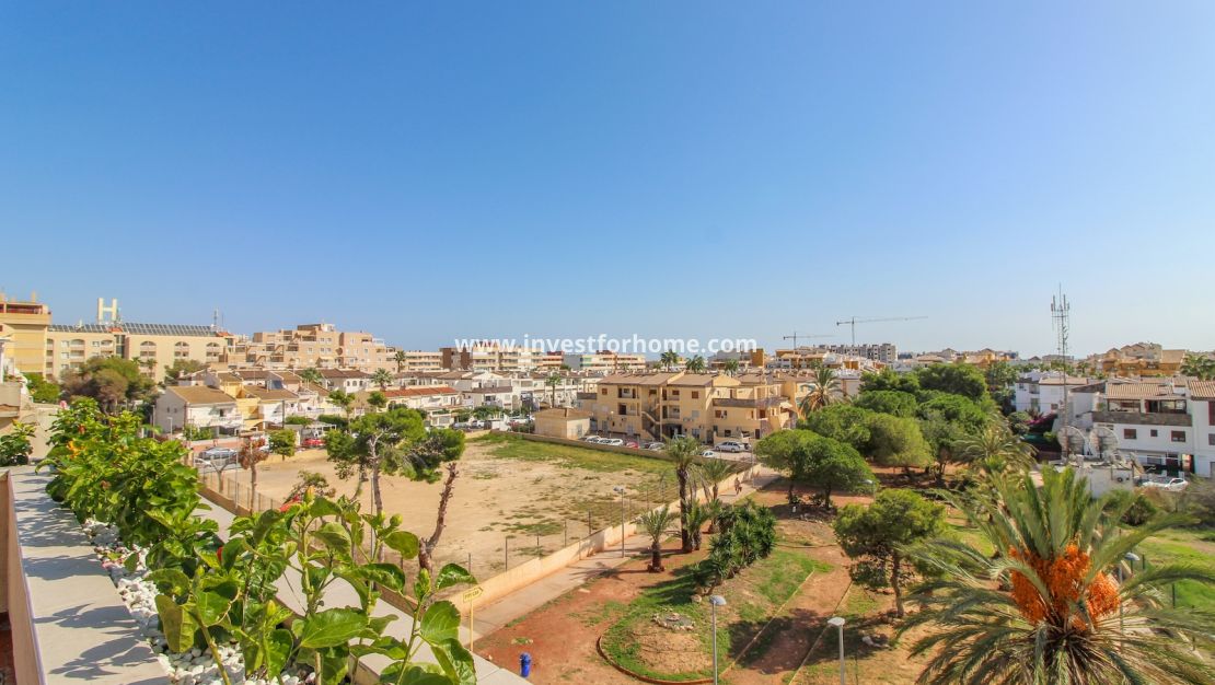 Reventa - Apartamento - Orihuela Costa - Costa Blanca