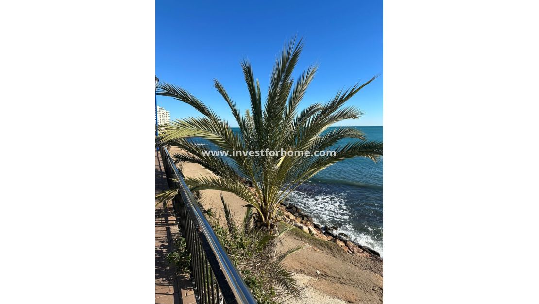 Reventa - Apartamento - Orihuela Costa - Costa Blanca