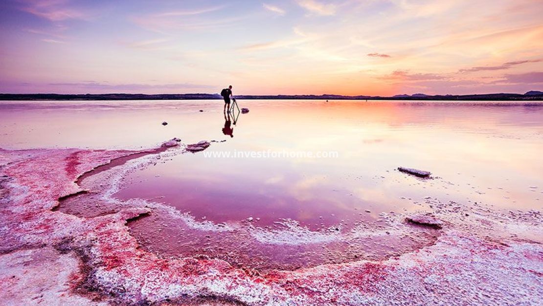 Reventa - Apartamento - Orihuela Costa - Costa Blanca