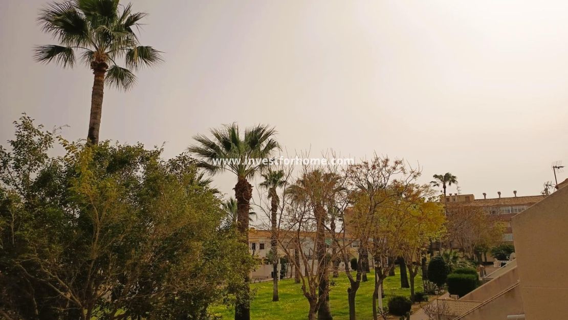 Reventa - Apartamento - Orihuela Costa - Costa Blanca