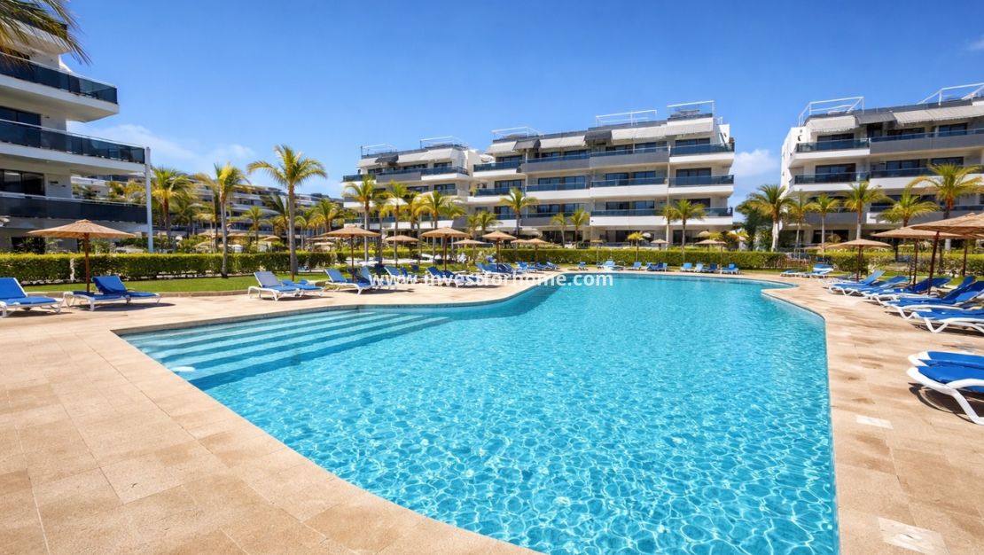 Reventa - Apartamento - Orihuela Costa - Costa Blanca