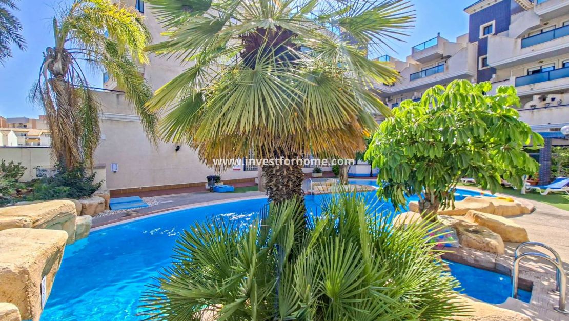 Reventa - Apartamento - Orihuela Costa - Costa Blanca