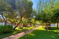Reventa - Apartamento - Orihuela Costa - Costa Blanca