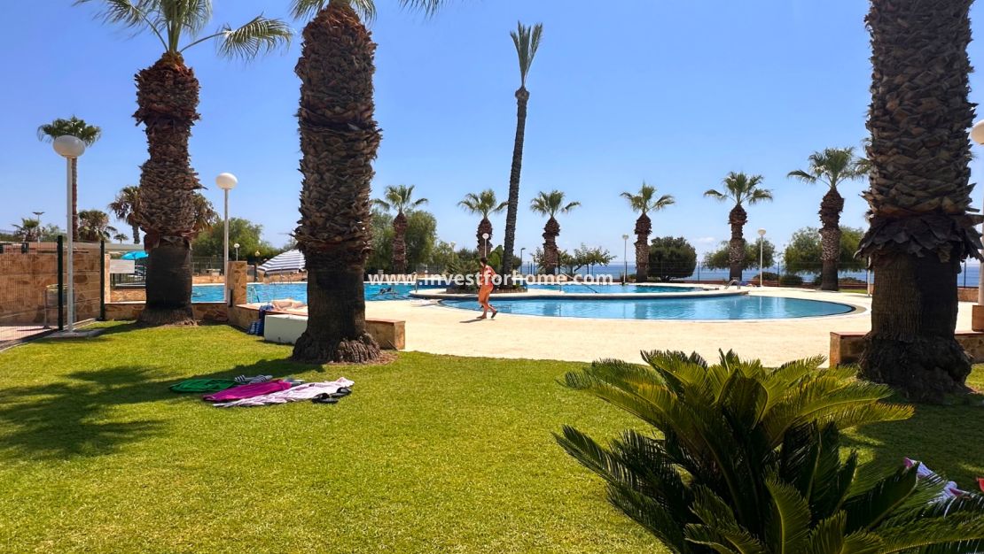 Reventa - Apartamento - Orihuela Costa - Costa Blanca