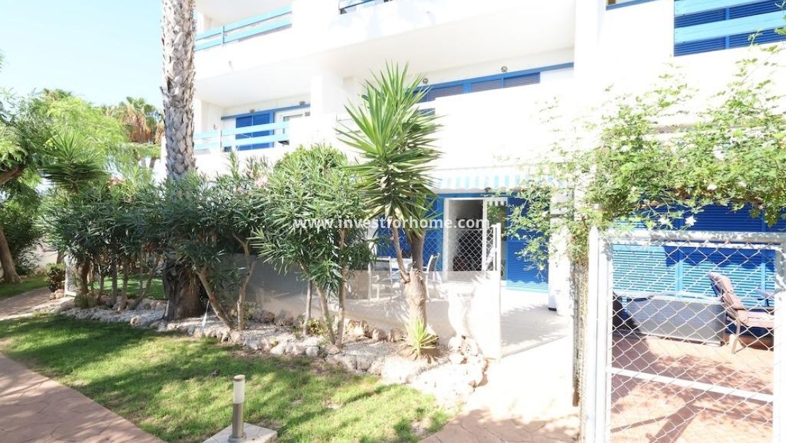 Reventa - Apartamento - Orihuela Costa - Costa Blanca