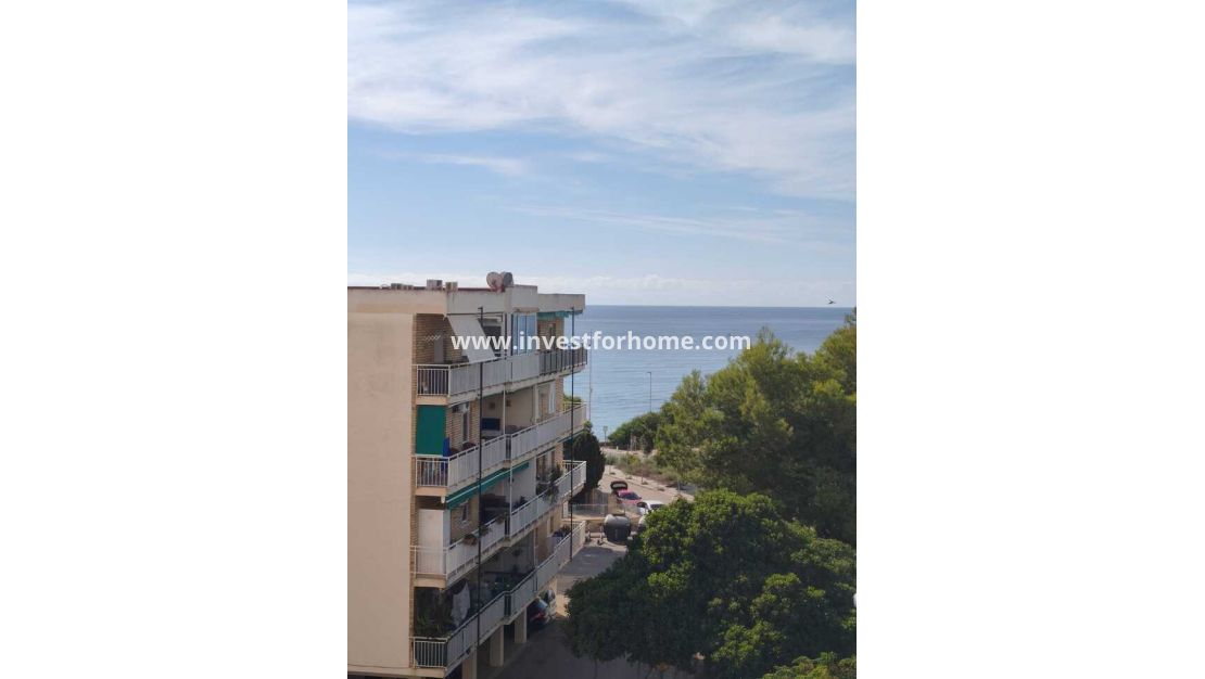 Reventa - Apartamento - Orihuela Costa - Costa Blanca