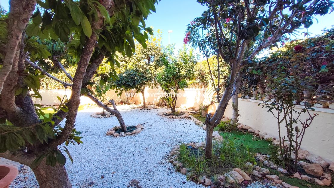 Reventa - Apartamento - Orihuela Costa - Costa Blanca